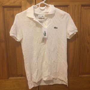 Lacoste Polo size 36